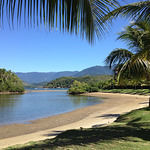 Tony's Fusion Express